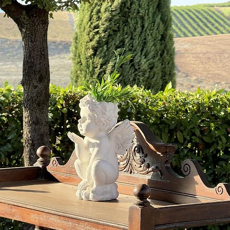 Agriturismo Il Raduno - Max Lelli Marsiliana Dış mekan fotoğraf