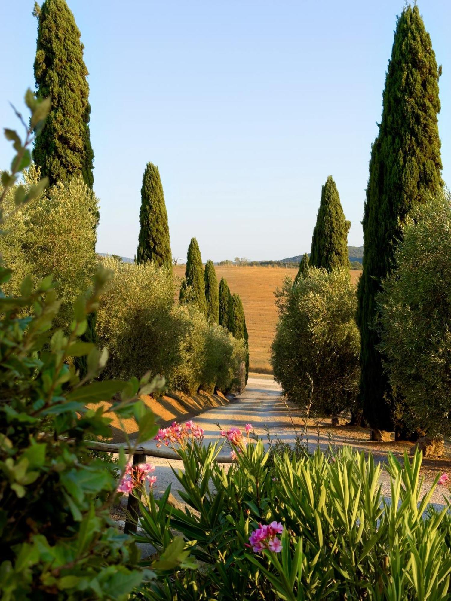 Agriturismo Il Raduno - Max Lelli Marsiliana Dış mekan fotoğraf